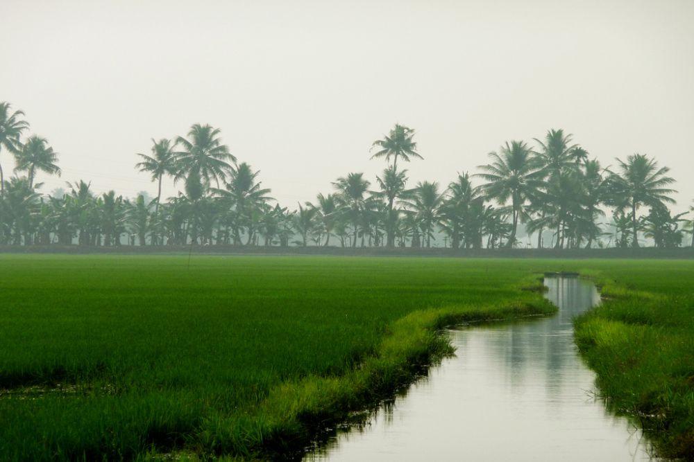 Alappuzha (2)